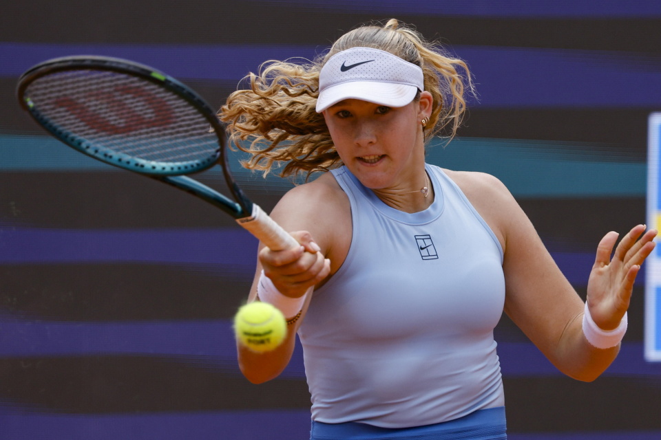 比例更为突 比例更为突